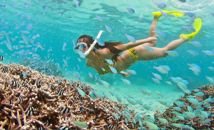 snorkeler