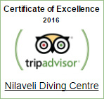 Unawatuna Diving Center trip Advisor Certificate