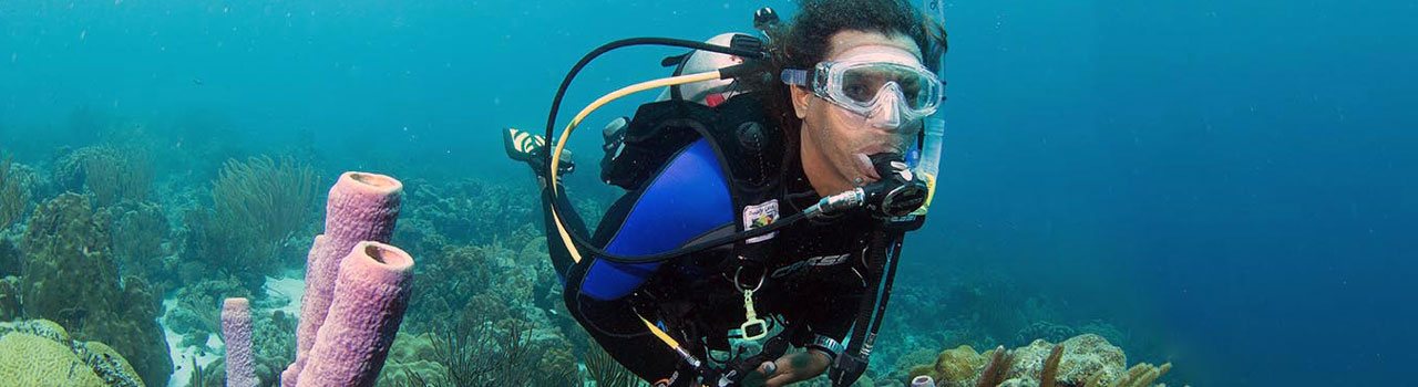 PADI Courses