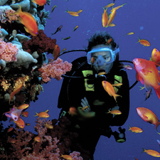 Coral Reef Conservation